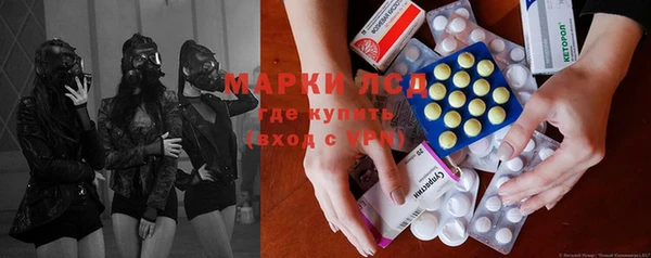 индика Горняк