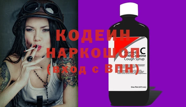 индика Горняк