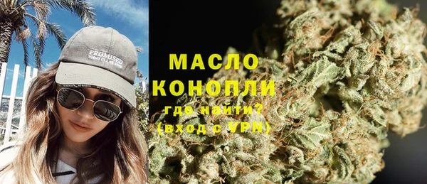 индика Горняк