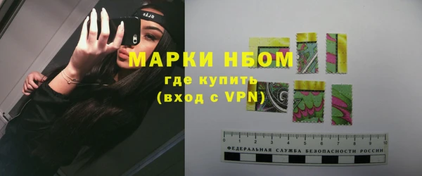 индика Горняк
