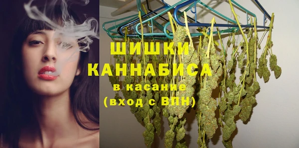индика Горняк