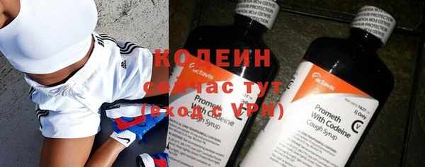 индика Горняк