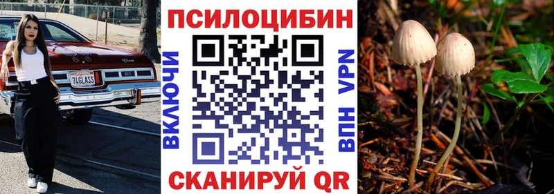 Псилоцибиновые грибы Magic Shrooms  Майский 